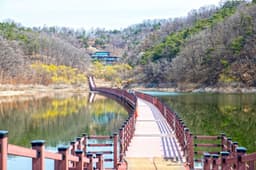 선성수상길