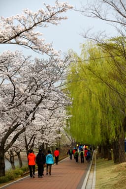 경주보문관광단지
