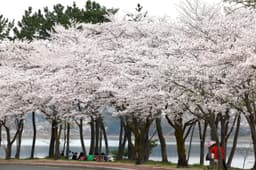 경주보문관광단지