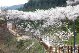 경주보문관광단지