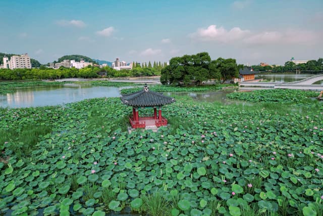 덕진공원