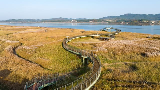 신성리 갈대밭