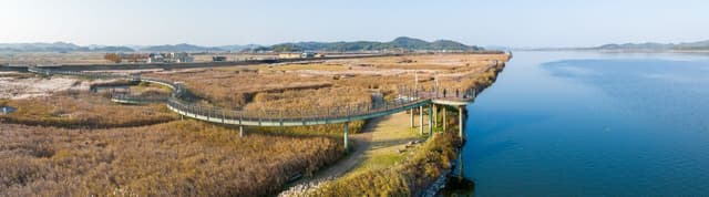 신성리 갈대밭