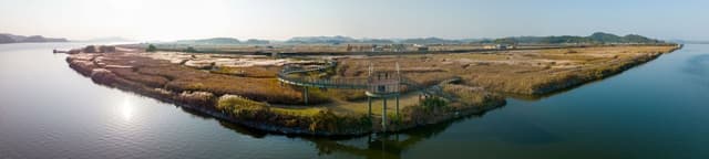 신성리 갈대밭