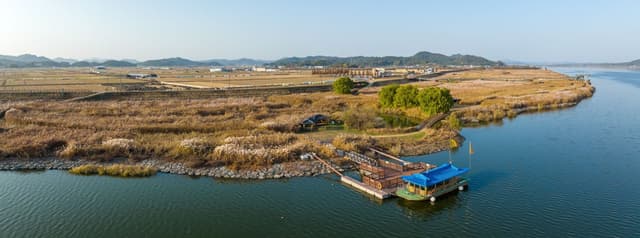 신성리 갈대밭