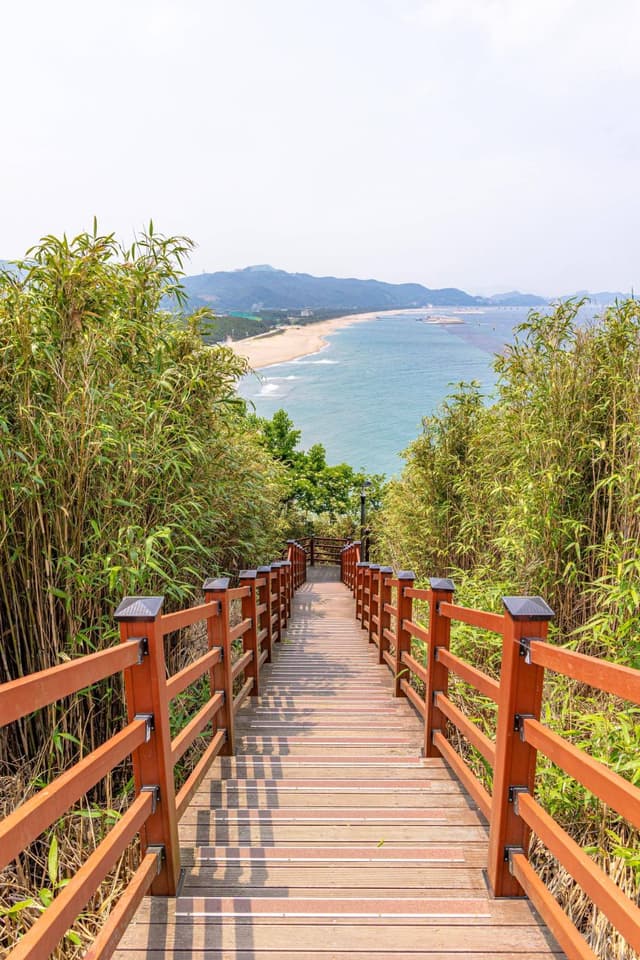 덕봉산 해안생태탐방로
