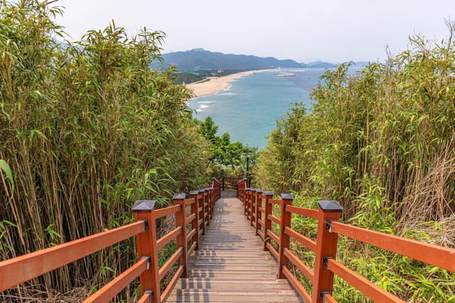 덕봉산 해안생태탐방로