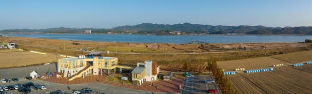 신성리 갈대밭