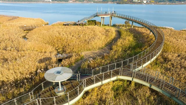 신성리 갈대밭