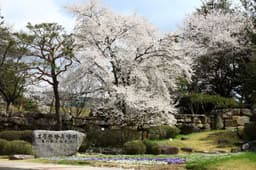경주보문관광단지