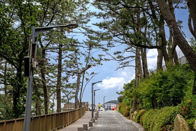 송도용궁구름다리