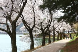 보문호