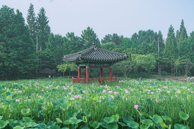 덕진공원