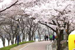 보문호