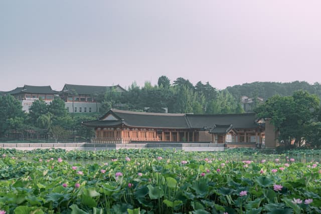 덕진공원
