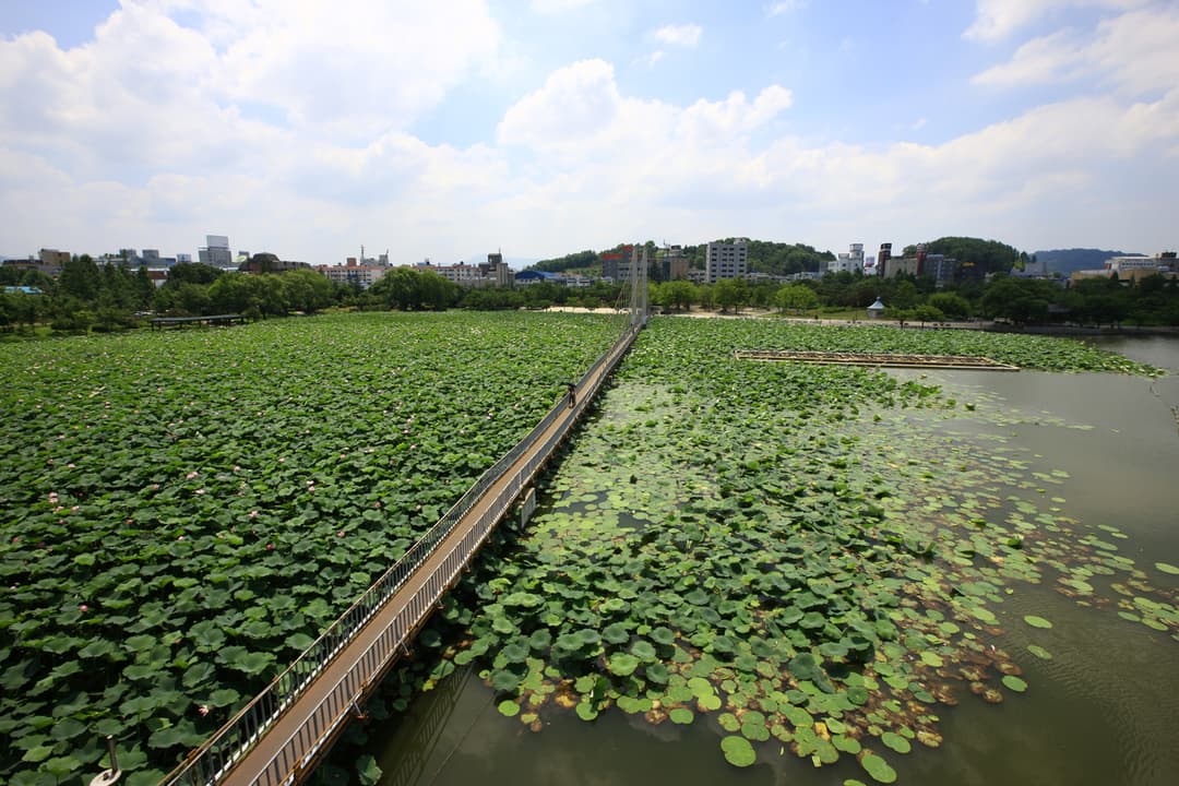 덕진공원