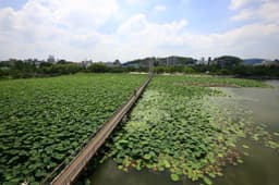 덕진공원