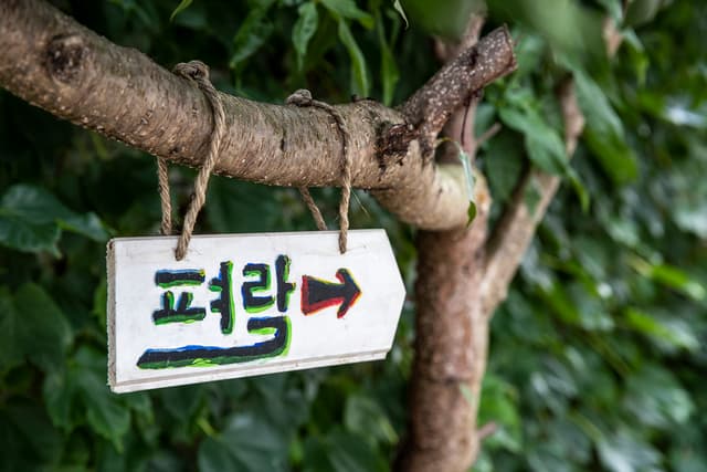 서학동예술마을