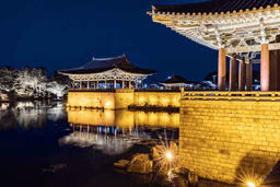 경주 여행코스 총정리 — 2박3일부터 당일치기까지 장소별 완벽 루트